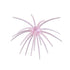 Core X Urchin Bait 19mm