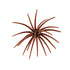 Core X Urchin Bait 19mm