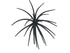 Core Max Urchin Bait 32mm