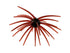 Core Max Urchin Bait 32mm