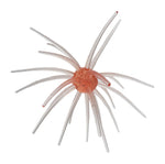 Core Max Urchin Bait 32mm
