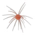 Core Max Urchin Bait 32mm