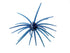 Core Max Urchin Bait 32mm