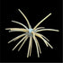Core Max Urchin Bait 32mm