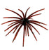 Core Max Urchin Bait 32mm